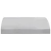 Blaze 42-Inch Outdoor Vent Hood in Stainless Steel (BLZ-42-VHOOD2)