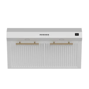 Forno Bari 30-Inch Espresso 400 CFM Under Cabinet Range Hood in White with Antique Brass Trim (FRHUC5255-30WHT)