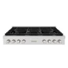 ZLINE Paramount 48-Inch Gas Rangetop with 8 Burners and Porcelain Cooktop in Satin Stainless Steel (SRTS-48)